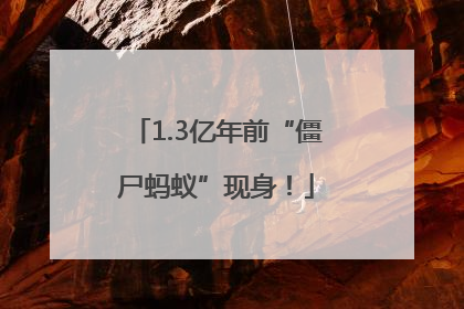1.3亿年前“僵尸蚂蚁”现身！