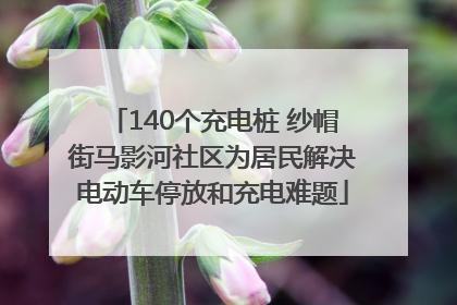 140个充电桩 纱帽街马影河社区为居民解决电动车停放和充电难题