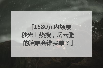 1580元内场票秒光上热搜，岳云鹏的演唱会谁买单？