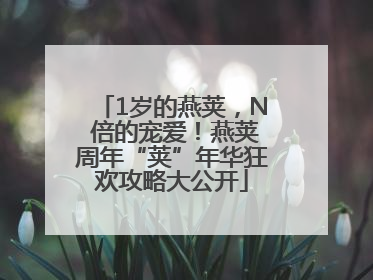 1岁的燕荚，N 倍的宠爱！燕荚周年“荚”年华狂欢攻略大公开