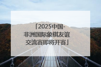 2025中国-非洲国际象棋友谊交流赛即将开赛