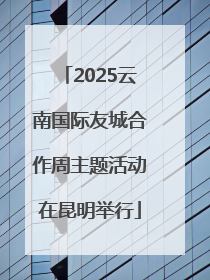 2025云南国际友城合作周主题活动在昆明举行