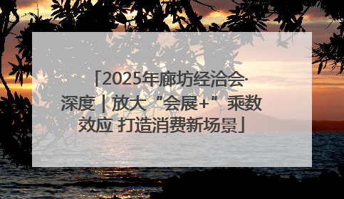 2025年廊坊经洽会·深度｜放大“会展+”乘数效应 打造消费新场景