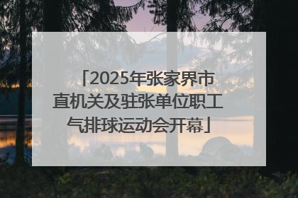 2025年张家界市直机关及驻张单位职工气排球运动会开幕