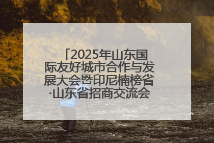 2025年山东国际友好城市合作与发展大会暨印尼楠榜省·山东省招商交流会在济南槐荫举行