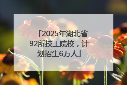 2025年湖北省92所技工院校，计划招生6万人