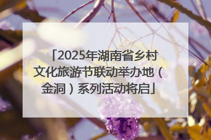 2025年湖南省乡村文化旅游节联动举办地（金洞）系列活动将启