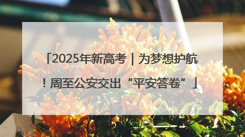 2025年新高考｜为梦想护航！周至公安交出“平安答卷”