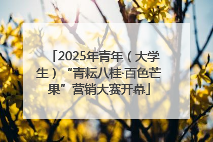 2025年青年（大学生）“青耘八桂·百色芒果”营销大赛开幕