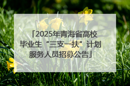 2025年青海省高校毕业生“三支一扶”计划服务人员招募公告