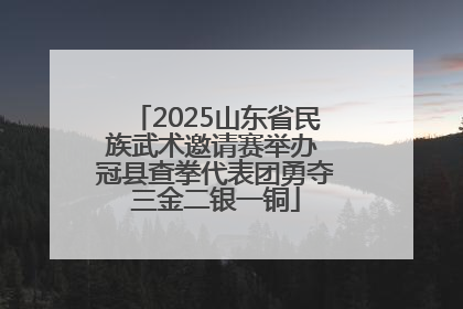 2025山东省民族武术邀请赛举办 冠县查拳代表团勇夺三金二银一铜