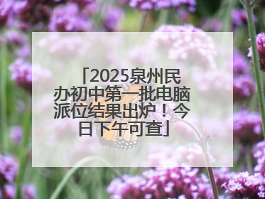 2025泉州民办初中第一批电脑派位结果出炉！今日下午可查