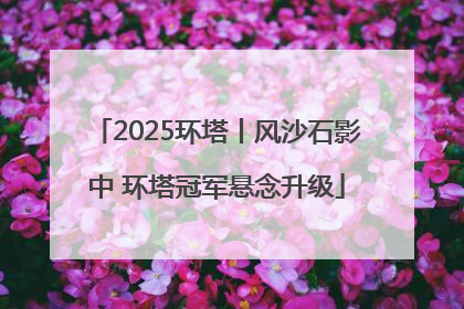 2025环塔丨风沙石影中 环塔冠军悬念升级