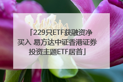 229只ETF获融资净买入 易方达中证香港证券投资主题ETF居首