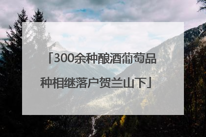 300余种酿酒葡萄品种相继落户贺兰山下