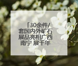 30余件/套国内外矿石展品亮相广西南宁 展千年铜文化韵味