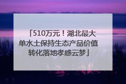 510万元！湖北最大单水土保持生态产品价值转化落地孝感云梦