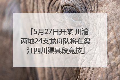 5月27日开桨 川渝两地24支龙舟队将在渠江四川渠县段竞技