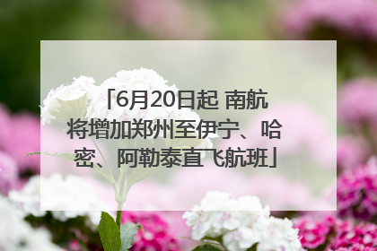 6月20日起 南航将增加郑州至伊宁、哈密、阿勒泰直飞航班