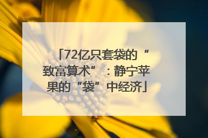 72亿只套袋的“致富算术”：静宁苹果的“袋”中经济