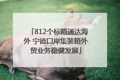 812个标箱通达海外 宁德口岸集装箱外贸业务稳健发展