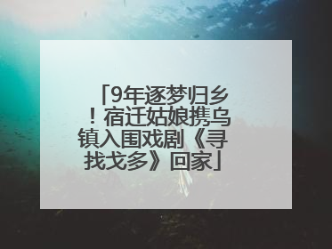 9年逐梦归乡！宿迁姑娘携乌镇入围戏剧《寻找戈多》回家