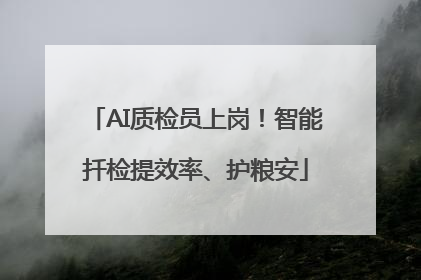 AI质检员上岗！智能扦检提效率、护粮安