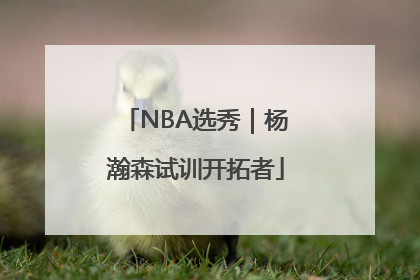 NBA选秀｜杨瀚森试训开拓者