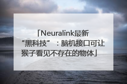 Neuralink最新“黑科技”：脑机接口可让猴子看见不存在的物体